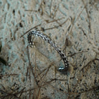 Morning Dew Bracelet